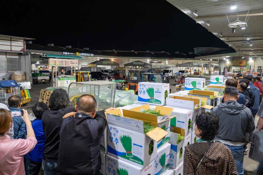 증평 장뜰부추, 출하에 박차를 가하다.